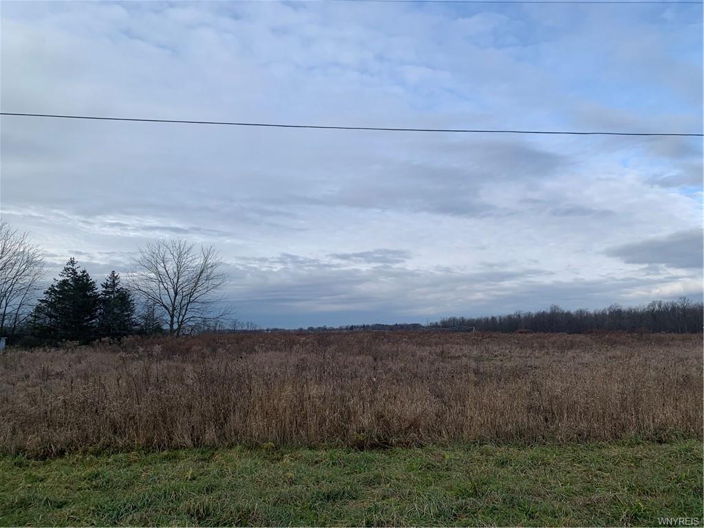 5090 Havens Road, Newstead, NY 14001 Buffalo NY Homes For Sale